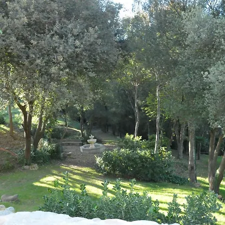 Masia Bora Nyaraló *