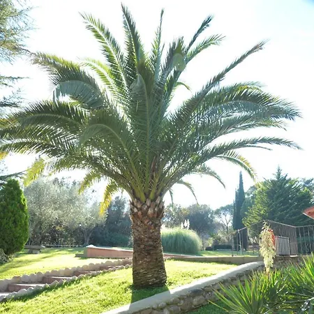 Holiday home Masia Bora Bonmati